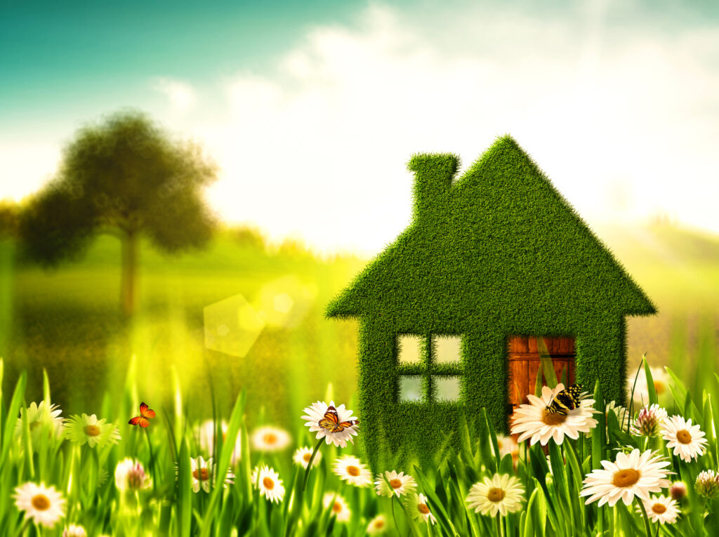 Green-Home-image-scaled.jpg