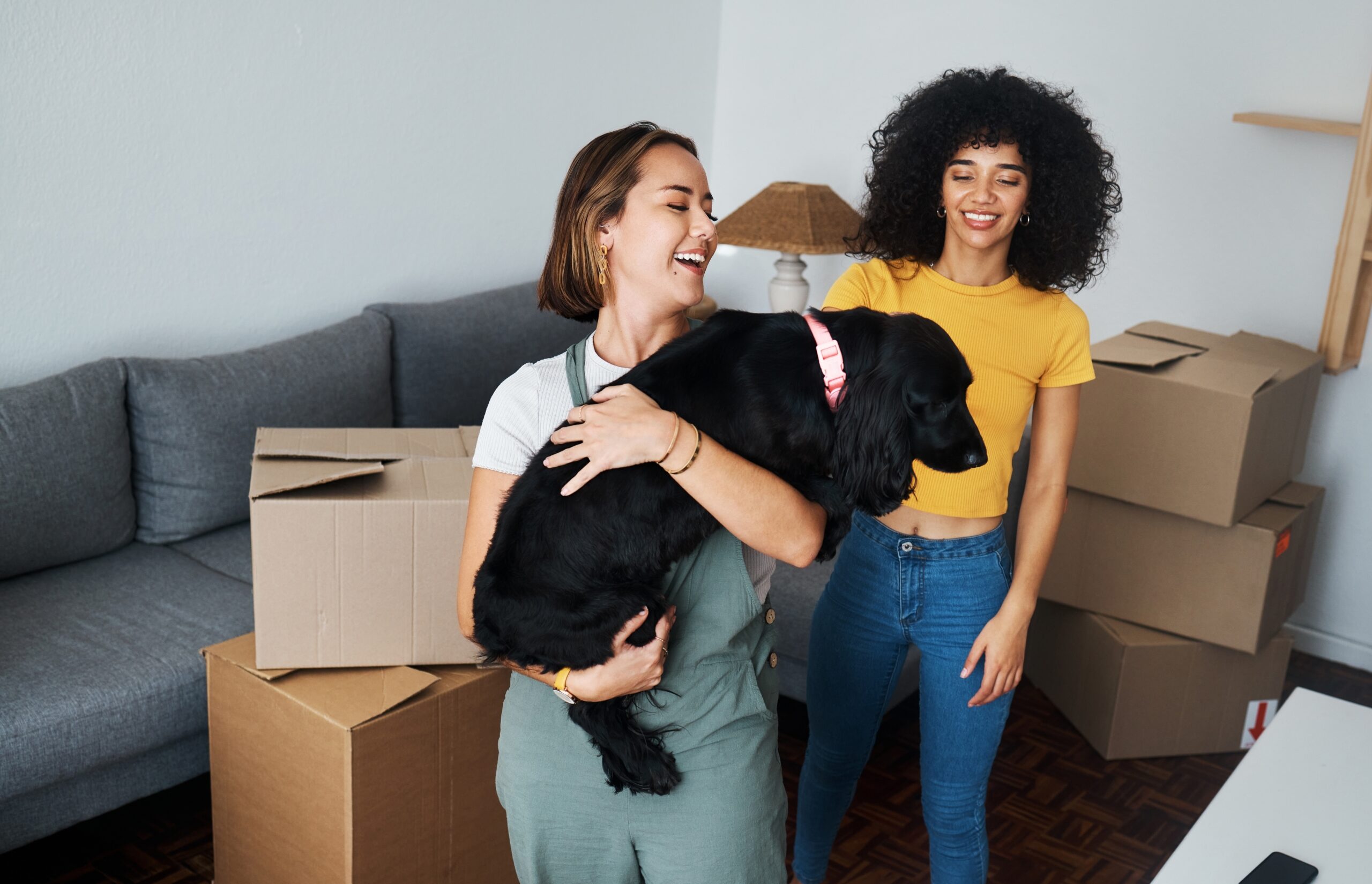 Moving,,Lesbian,And,Couple,With,Dog,In,New,Home,,Boxes