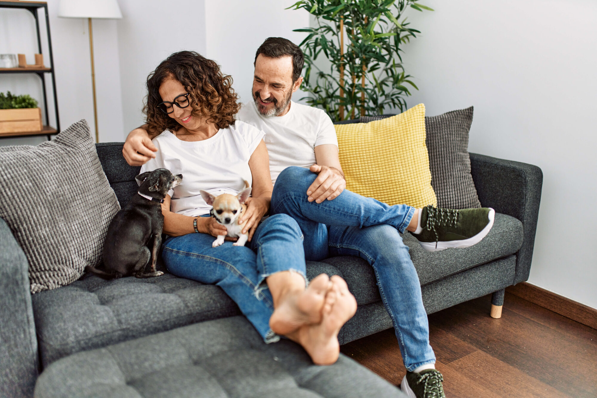 50+ couple on sofa with small dogs