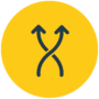 Hodge_Bold Flexibility [Gold] icon