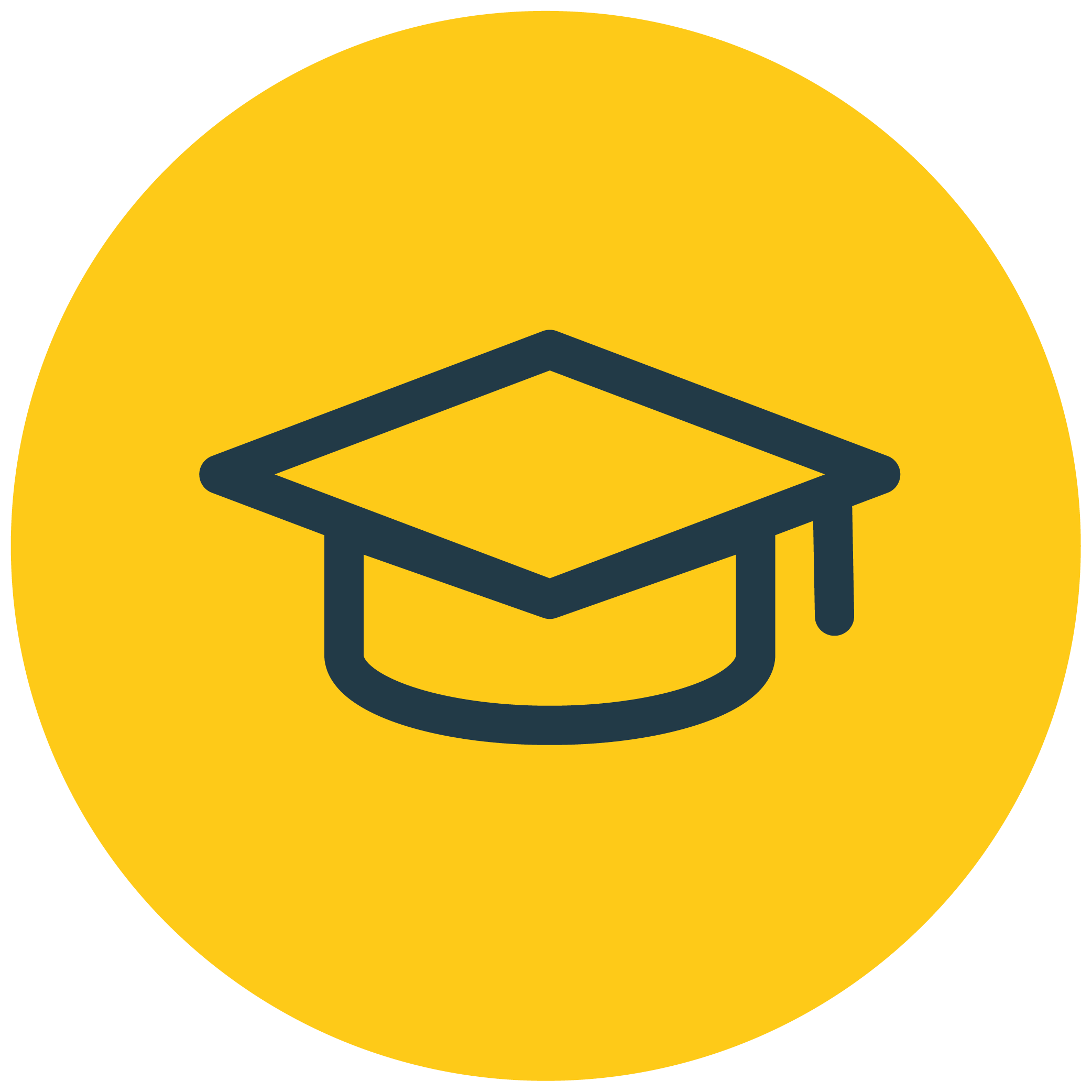 Hodge_Mortarboard [Gold] icon