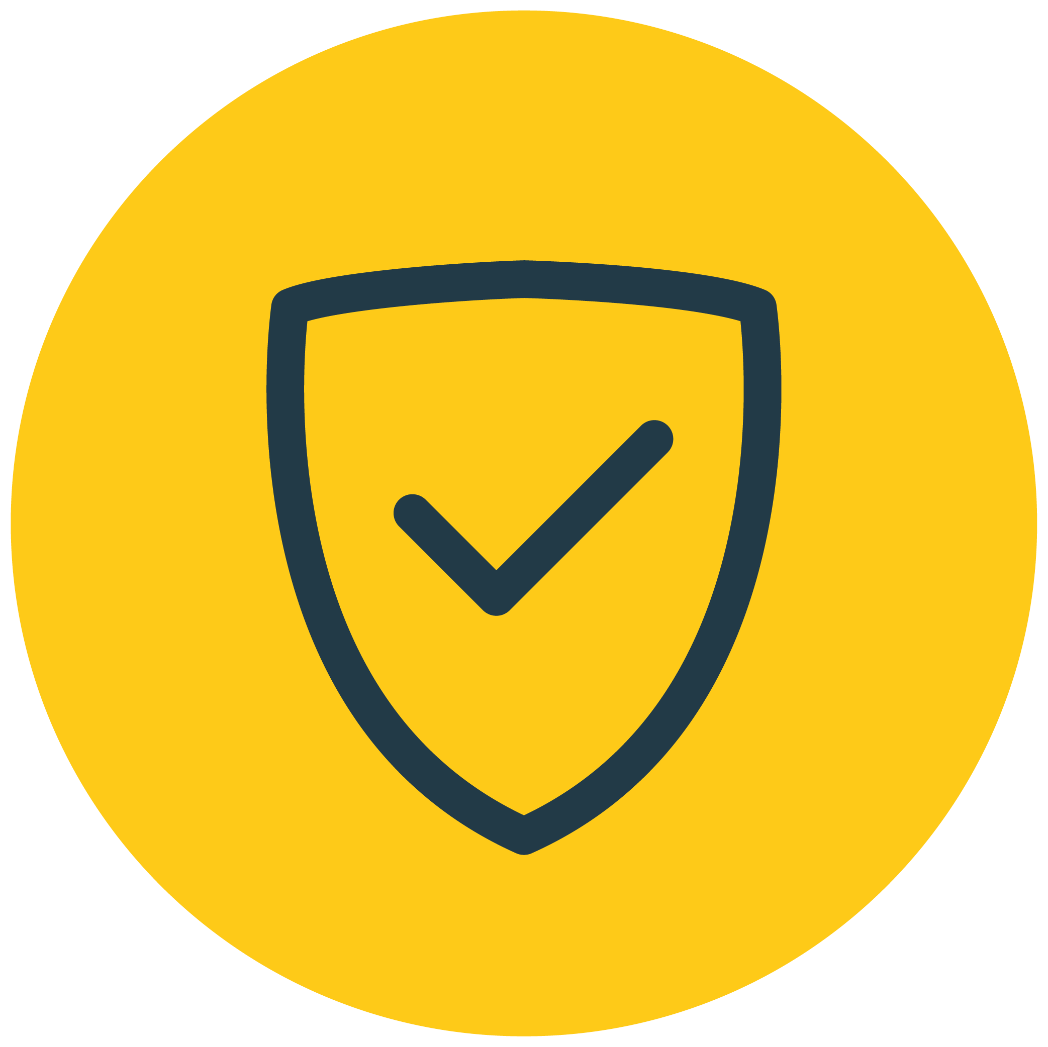 Hodge Shield Gold icon