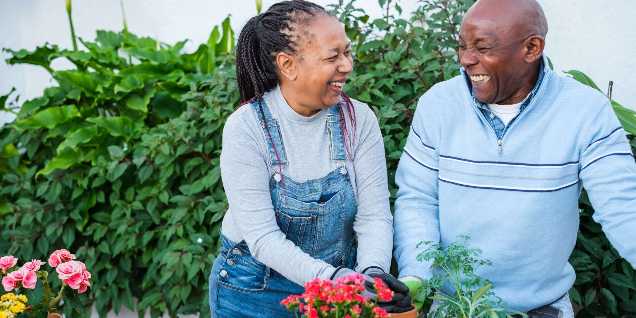 mature black couple gardening