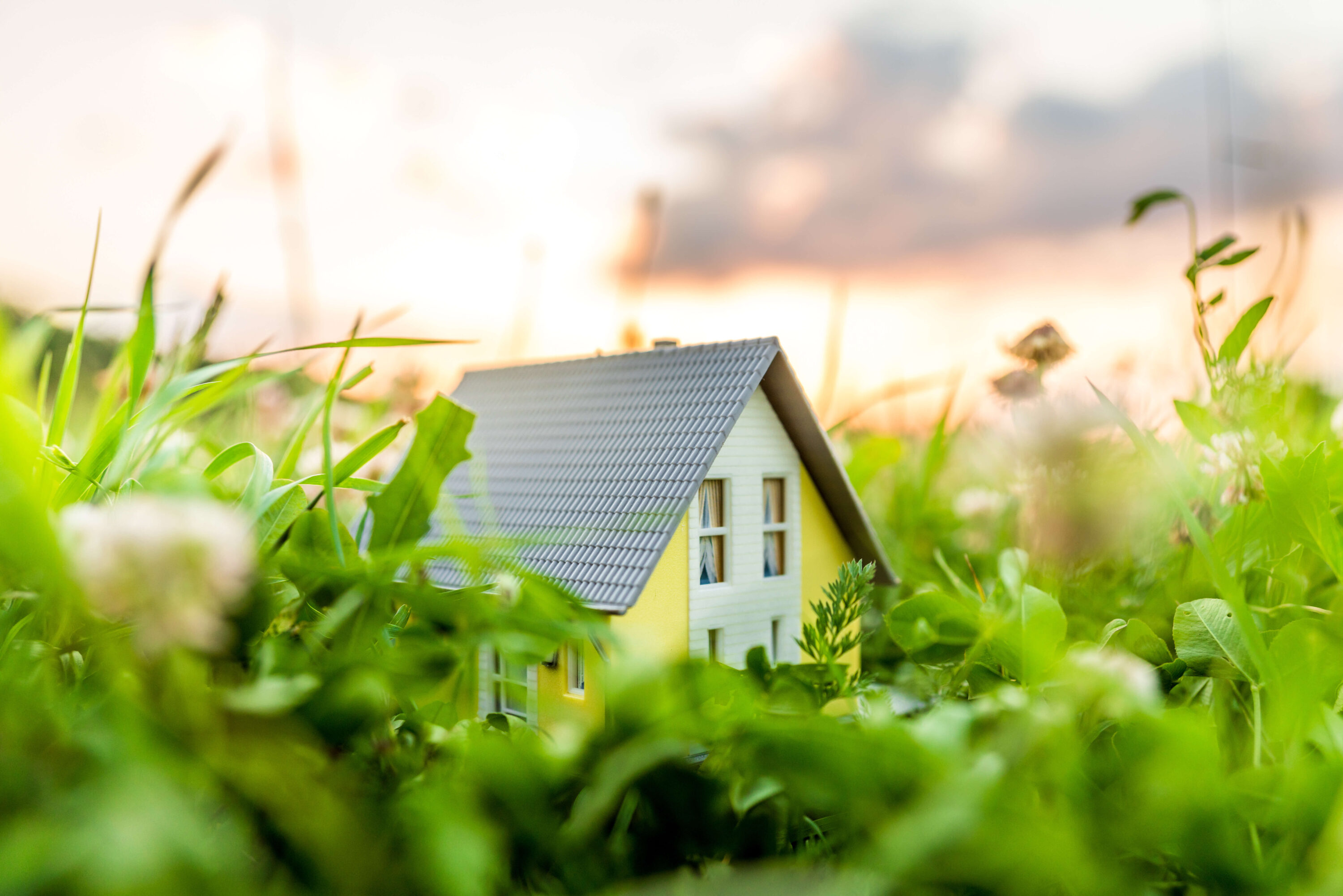 Model house in greenery