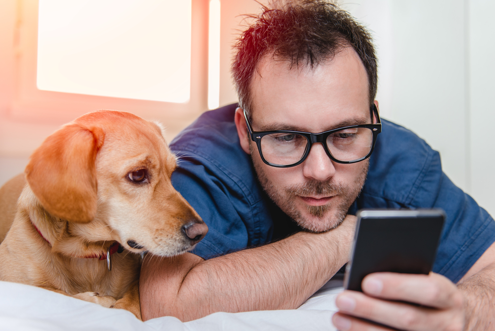 Man with dog looking at a phone