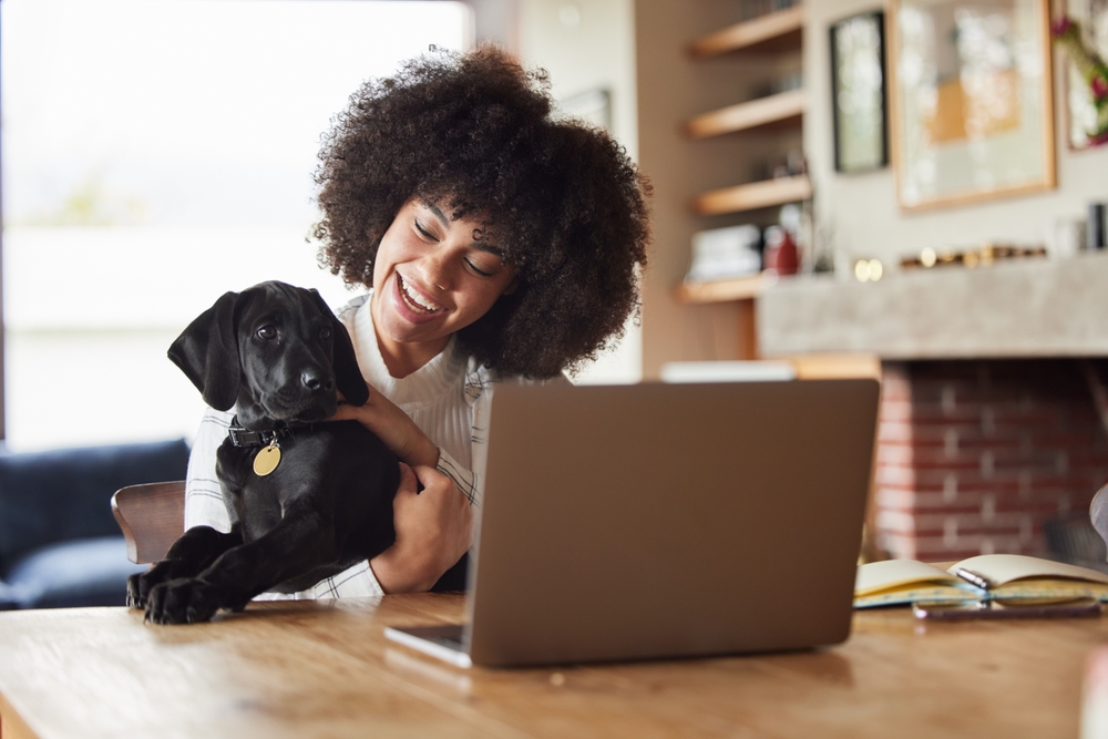 Woman with dog staring at laptop
