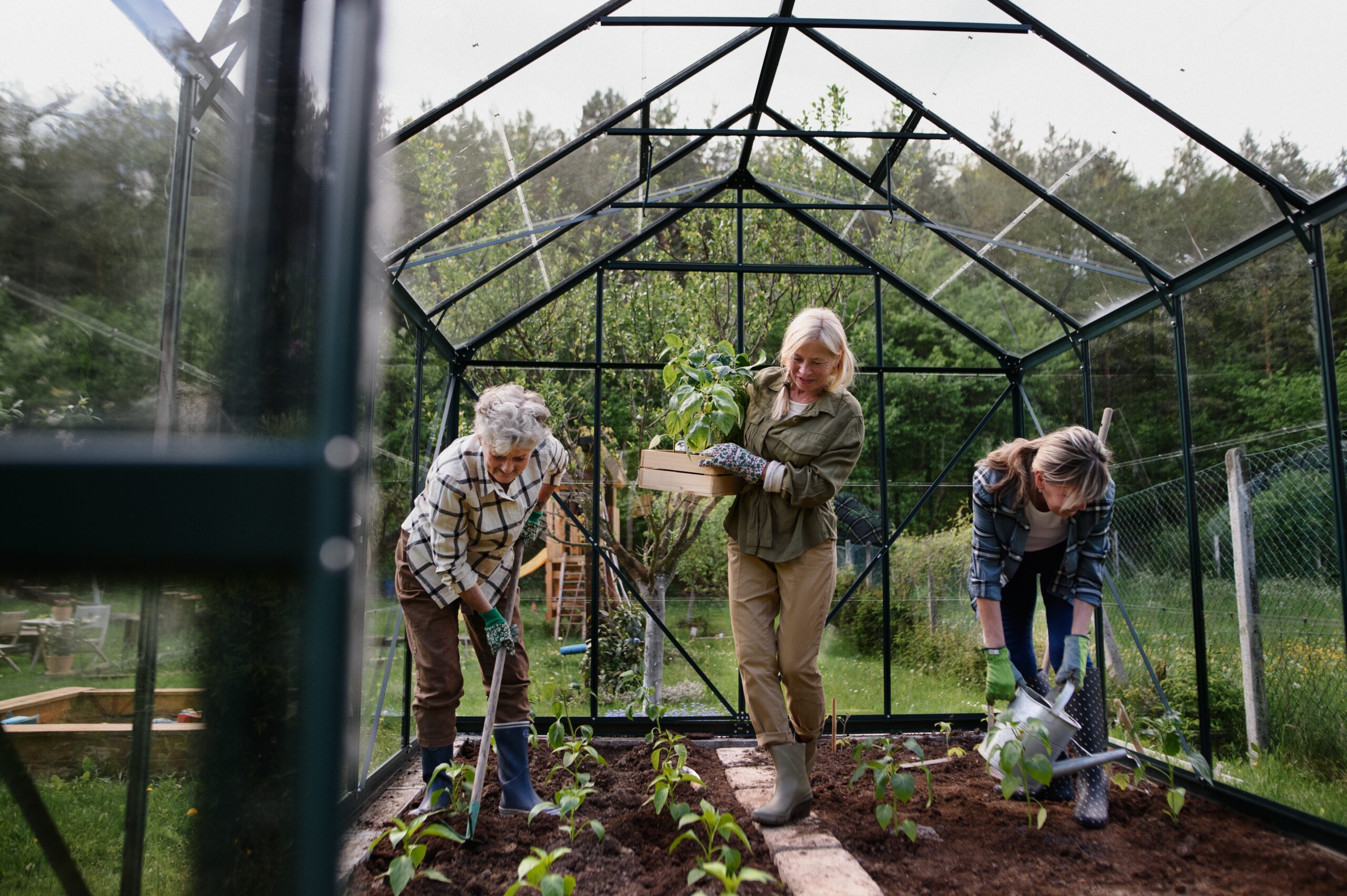 Three women gardening in a greenhouse.