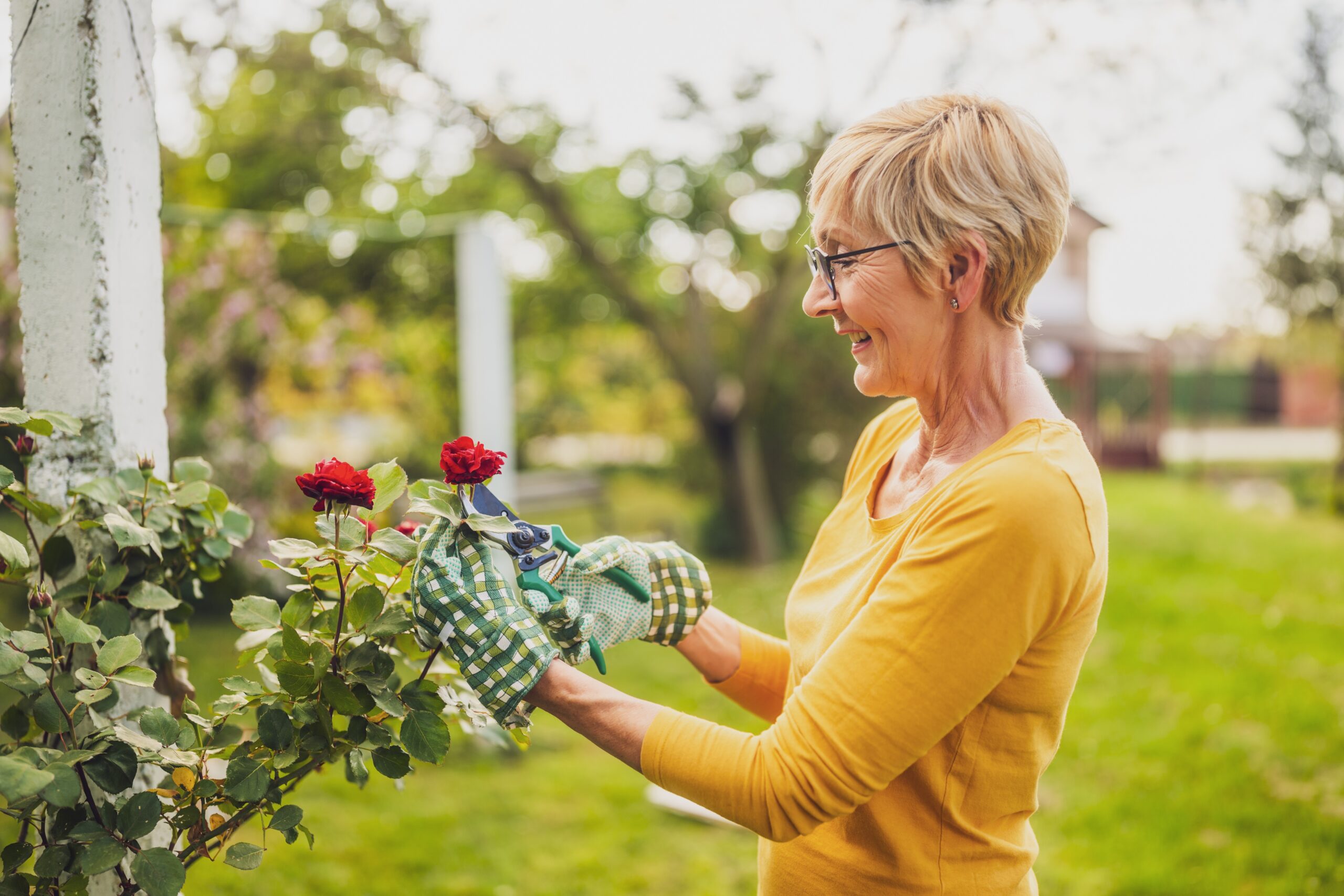 A woman cutting flowers.