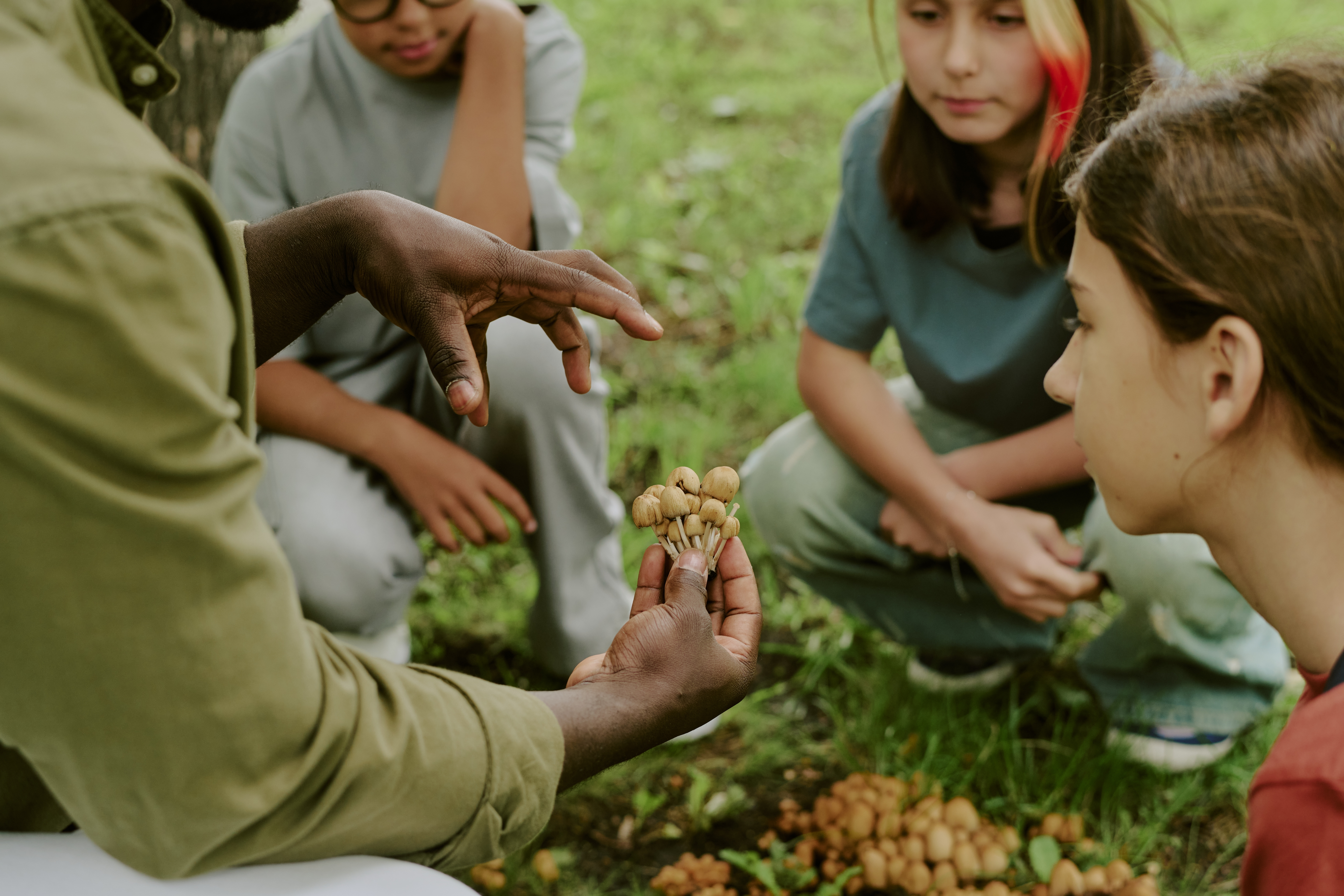 A group of people staring at mushrooms.
