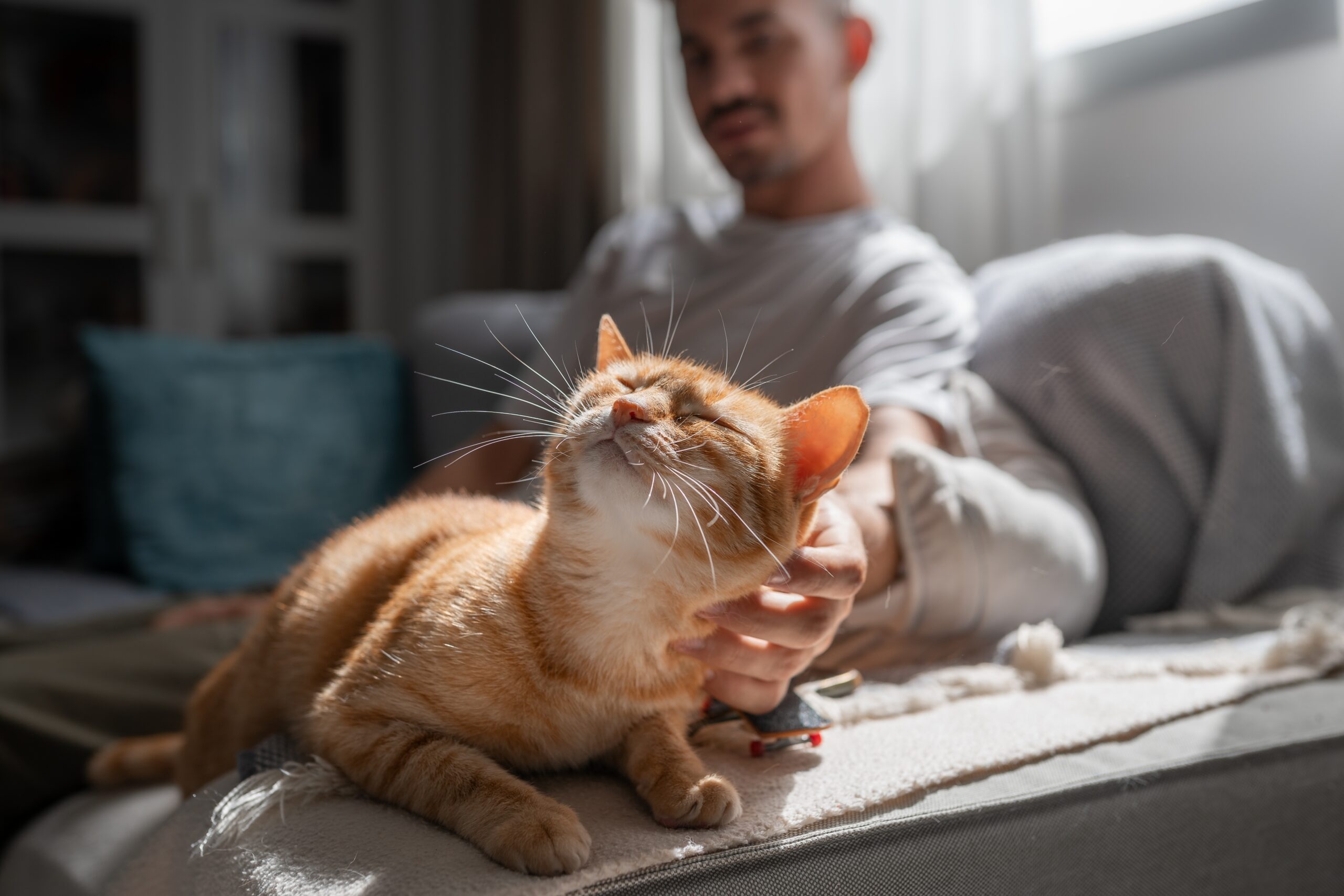 young man smoothing his cat